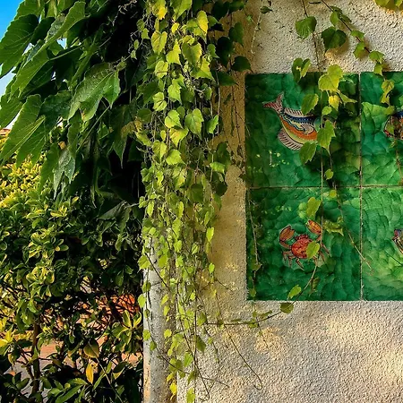 Bed & Breakfast Quietness La Quiete Vico Equense